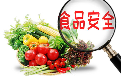 食品質量與安全專業(yè) 培養(yǎng)農(nóng)產(chǎn)品安全衛(wèi)士的重要領域