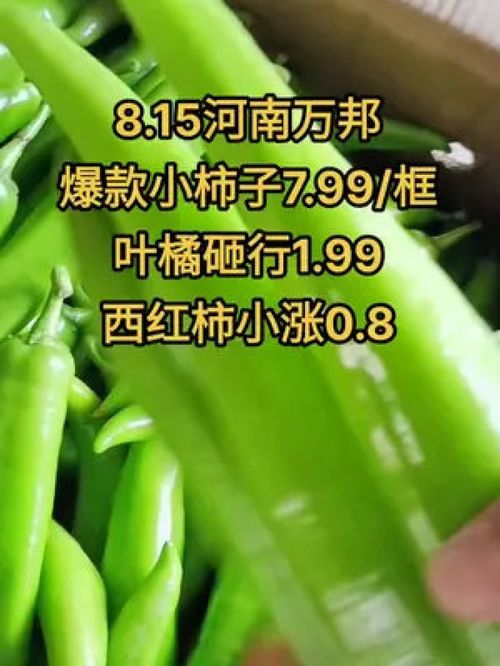 農產品市場行情持續低迷，水果蔬菜優質產品如何破局？