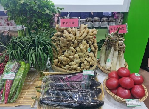 濟南農(nóng)產(chǎn)品驚艷亮相綠博會，綠色品牌彰顯農(nóng)業(yè)新活力