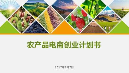 農產品電商創(chuàng)業(yè)計劃書 構建數(shù)字化生態(tài)，賦能現(xiàn)代農業(yè)新未來